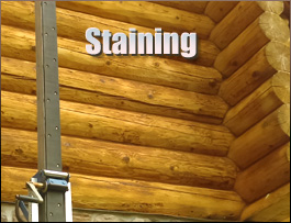  Allen County, Kentucky Log Home Staining